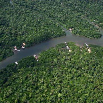 addc6d4d-4406-4398-a92a-96edfeb10016 La Déforestation en Amazonie Brésilienne Atteint un Niveau Historique