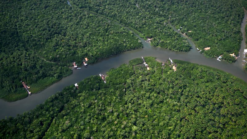 addc6d4d-4406-4398-a92a-96edfeb10016 La Déforestation en Amazonie Brésilienne Atteint un Niveau Historique