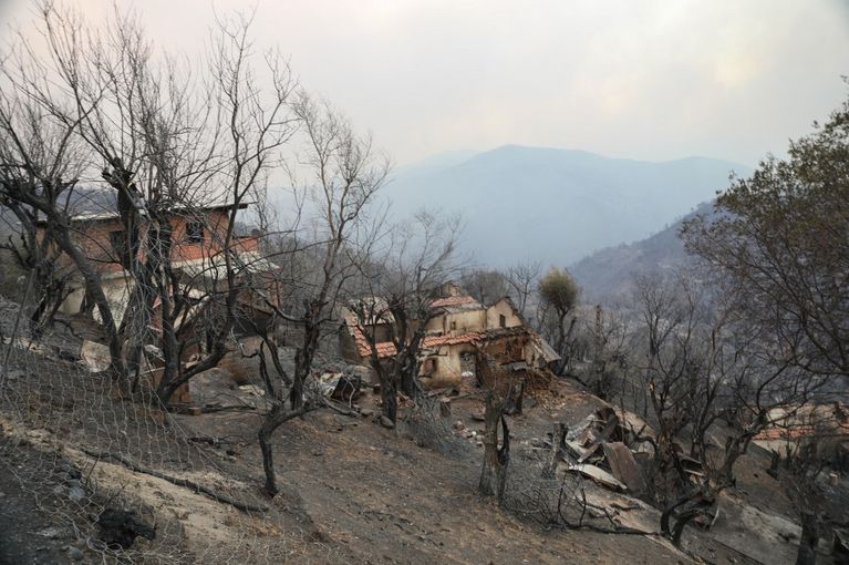 ALGERIA-FIRE-CLIMATE La France prête à aider l’Algérie face aux incendies