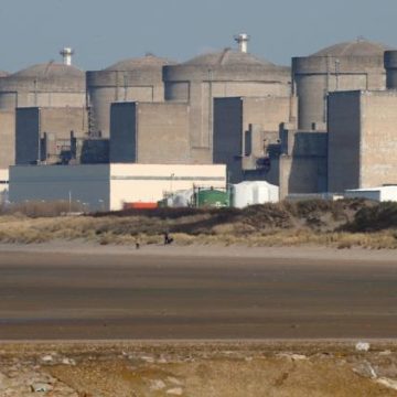 Arrêt de réacteurs à Gravelines en raison de méduses