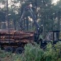 Polémique autour de la création d&rsquo;un pare-feu en Gironde