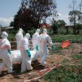 L&rsquo;épidémie du variant Bundibugyo d&rsquo;Ebola en République démocratique du Congo reste critique