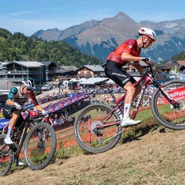 Les Conflits d&rsquo;Usage dans les Alpages de Haute-Savoie