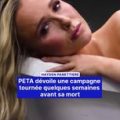 Hayden Panettiere et son Engagement pour les Animaux