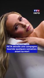 bc6fdd6b-c760-49d6-ad73-11b1c39ffe10 Hayden Panettiere et son Engagement pour les Animaux