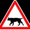 Mesures pour la protection du lynx dans le Jura