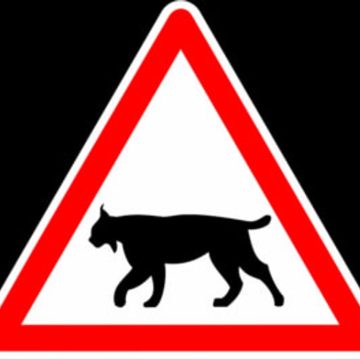 Mesures pour la protection du lynx dans le Jura