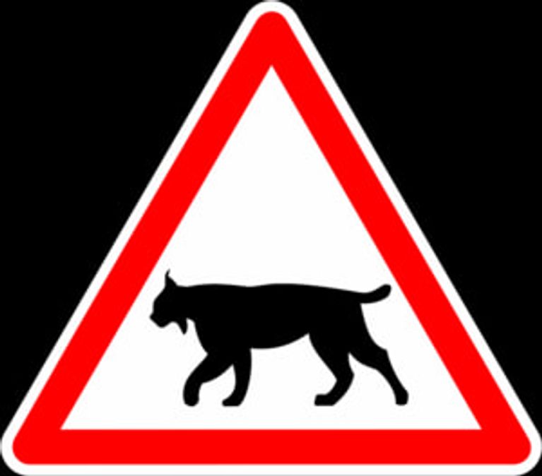 bf27af8d-8680-400d-bf0d-5be2bb851d37 Mesures pour la protection du lynx dans le Jura