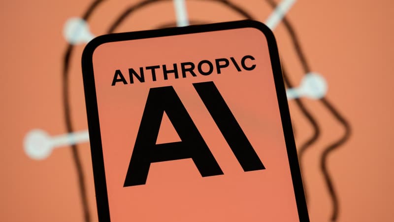 c41dcd75-4e53-49af-9d38-231e1d848674 Anthropic multiplie ses revenus grâce à Claude