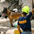 Séisme en Colombie : Un bilan lourd et des opérations de secours critiques
