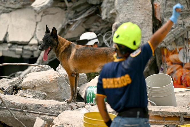 c5cf1678-be99-4563-84ff-5ae25e1b82f3 Séisme en Colombie : Un bilan lourd et des opérations de secours critiques