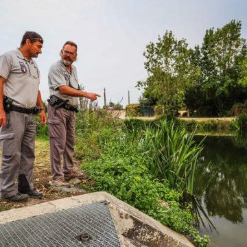 La Sécheresse 2026 et ses Enjeux au Marais Poitevin
