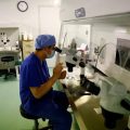 Une affaire de fertilisation in vitro dévoile les lacunes juridiques en Chine