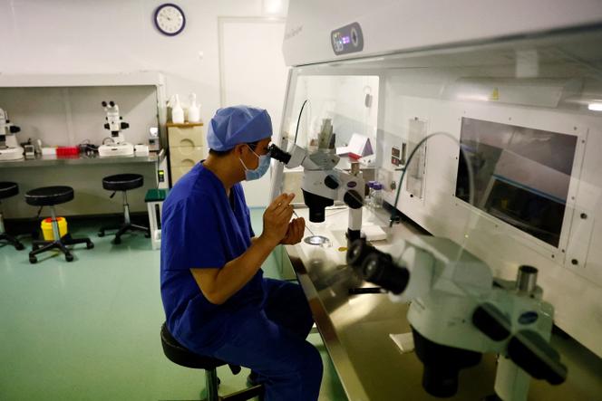 cfeb6116-f643-4222-beb9-9d87d1eef384 Une affaire de fertilisation in vitro dévoile les lacunes juridiques en Chine