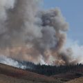 Incendie dévastateur à Reno: L&rsquo;incendie « Hawk »