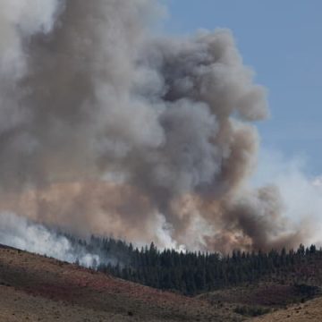 Incendie dévastateur à Reno: L&rsquo;incendie « Hawk »