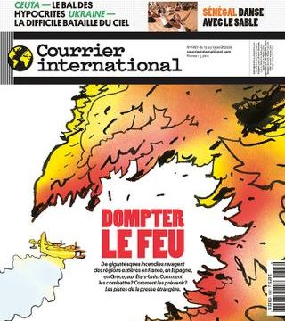 Les incendies ravagent des régions : stratégies de lutte et de prévention