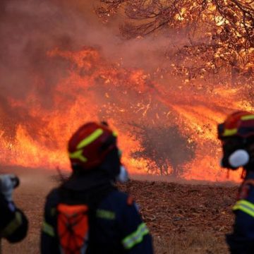 Incendies en Grèce: une crise aggravée par le climat