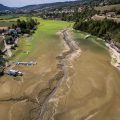 Vague de chaleur et Incendies en France : État des lieux