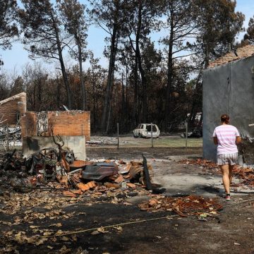 d887f501-5262-4141-ac7c-087c7244b2ba Incendies et canicule: la situation en France et en Grèce