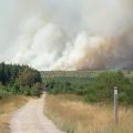 Incendie majeur dans les Fagnes, en Belgique