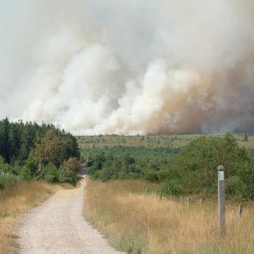 d8d5302b-4f0e-4abe-93b4-2bf55fe59e4a Incendie majeur dans les Fagnes, en Belgique