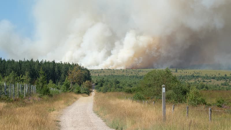 d8d5302b-4f0e-4abe-93b4-2bf55fe59e4a Incendie majeur dans les Fagnes, en Belgique