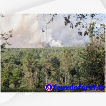 deb19590-fa36-4f74-a830-4a38ca1f57e1 Un incendie ravage Saint-Just en Ille-et-Vilaine