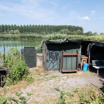 Conflit environnemental autour de la chasse dans les marais d&rsquo;Harchies