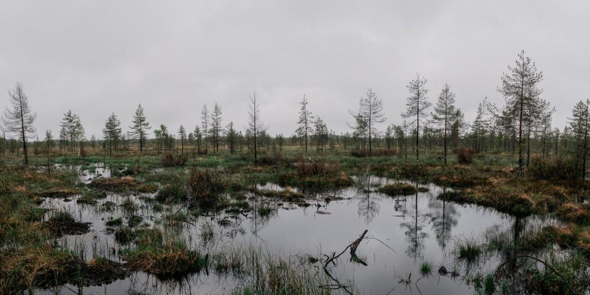 La restauration des zones humides en Finlande : enjeux environnementaux et sécuritaires