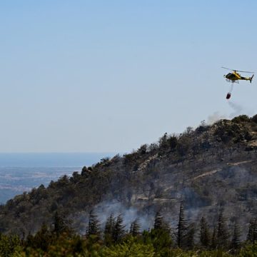 e56509f9-d2ae-4b09-afef-8e0ee25a9335 Incendies et Sécheresse dans les Pyrénées-Orientales