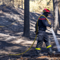 Incendies dans le Pas-de-Calais : responsabilités et causes analysées