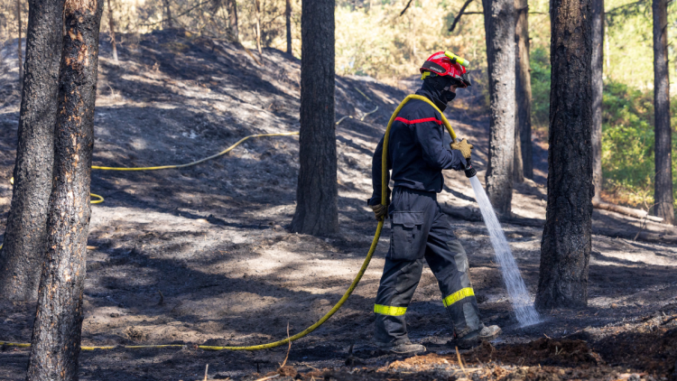 e593becb-ddeb-428d-9489-62afc983aaa3 Incendies dans le Pas-de-Calais : responsabilités et causes analysées