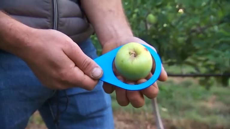 ea305893-7544-4f1b-a9e2-e54958b6db6d Les fruits et légumes imparfaits trouvent leur place dans les étals