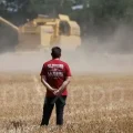 Impact des canicules et de la sécheresse sur les cultures estivales