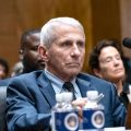 Des poursuites recommandées contre Anthony Fauci