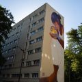 L&rsquo;intégration de l&rsquo;art urbain au patrimoine historique de Metz