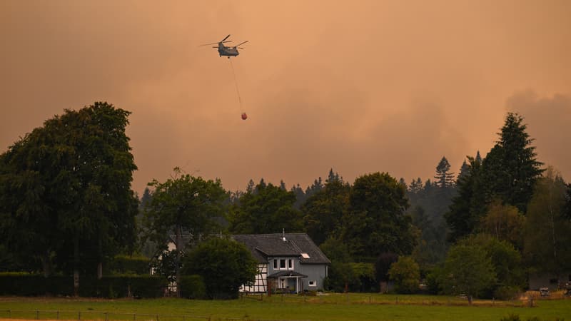 f6cf7d71-6a0d-4f2f-834a-d7a2cec90939 Un incendie ravage la frontière belgo-allemande