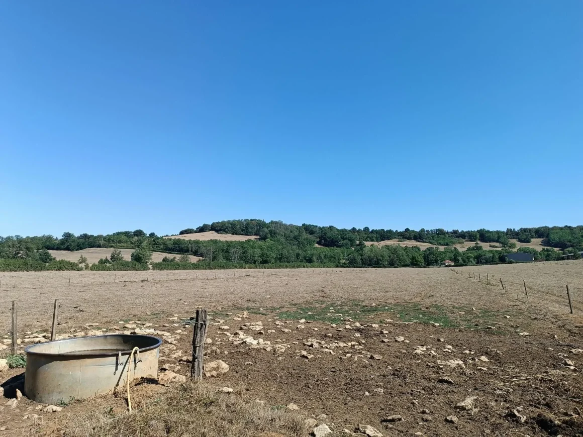 fd463721-0425-45c1-a1c8-b7367d59ddcc L’épreuve de la sécheresse pour les éleveurs de l’Yonne