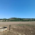 L&rsquo;épreuve de la sécheresse pour les éleveurs de l&rsquo;Yonne