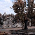 Incendies d&rsquo;été en France : Impact économique et humain