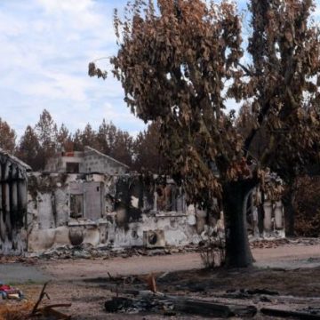 fe68d34c-522b-44ab-b14d-349ed30cc158 Incendies d’été en France : Impact économique et humain