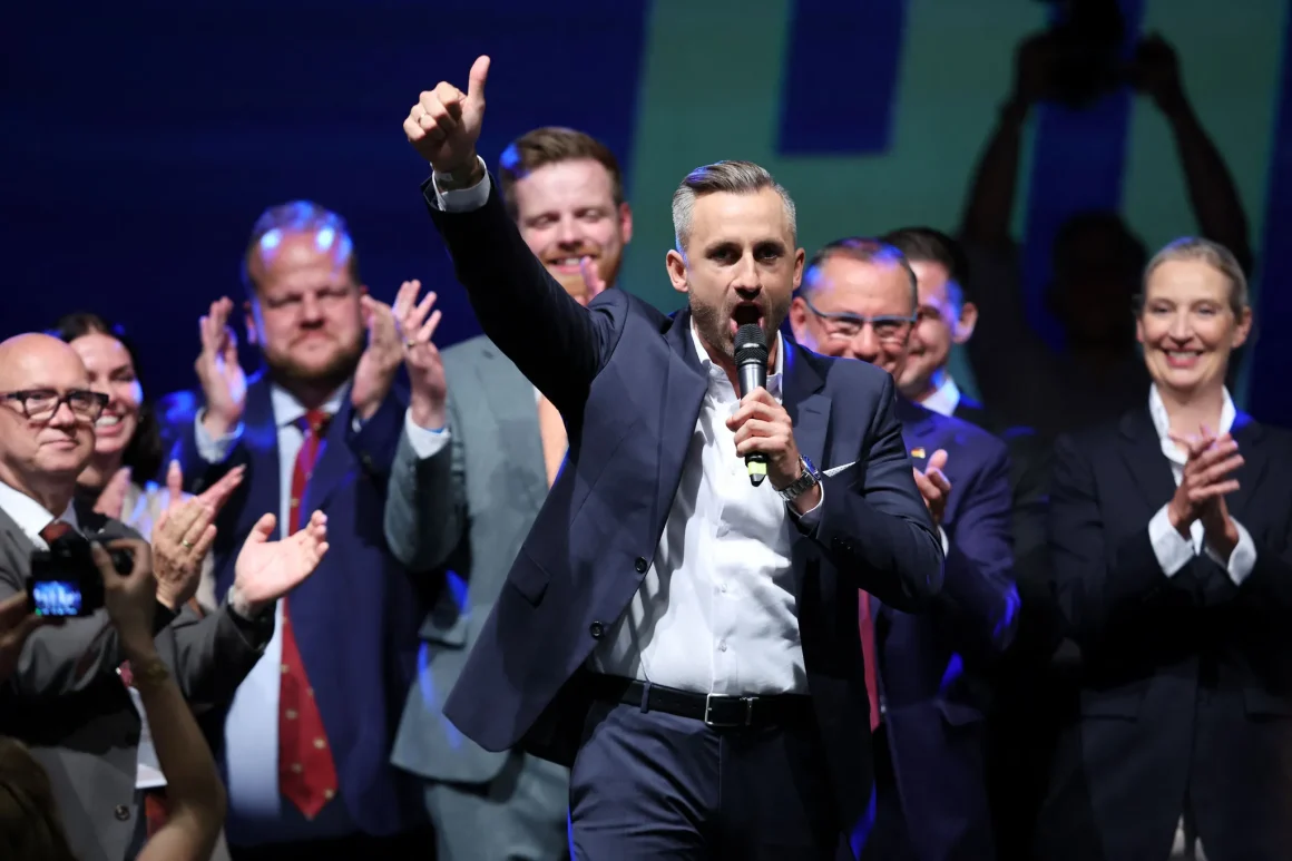 L&rsquo;ascension de l&rsquo;AfD en Allemagne : enjeux et perspectives