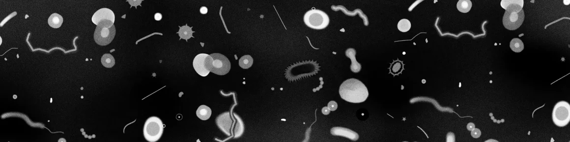France Culture : Les Parasites
