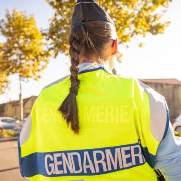 La loi RIPOST : Implications sur la suspension du permis de conduire
