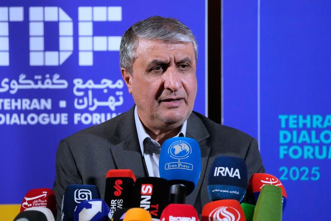 28688eec-dae1-4bd8-904f-4b6ef33bdf45 Accès refusé à Mohammad Eslami pour la conférence de l’AIEA