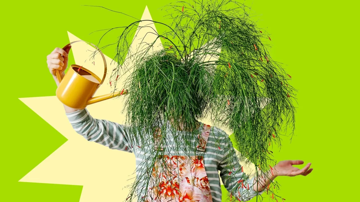 La Timidité des Cimes : Un Mystère Botanique