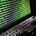 Cyberattaque sur l&rsquo;Armurerie Lavaux : données sensibles exposées