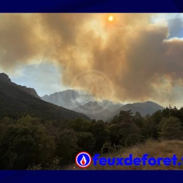 36ce0423-7873-4a79-a282-c6b14af2c576 Incendie dans l’Aude : Évacuations et moyens déployés