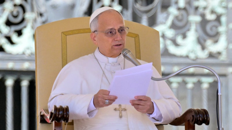 386001a5-4953-4548-9904-e210acbb6919 Budget et Financement de la Visite du Pape en France